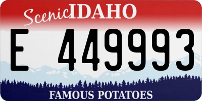 ID license plate E449993