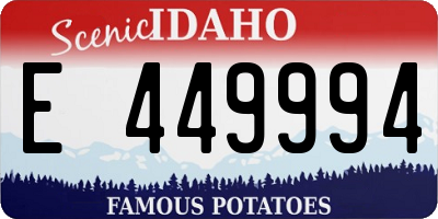 ID license plate E449994
