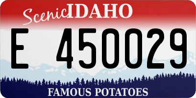 ID license plate E450029