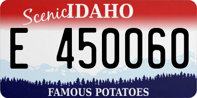 ID license plate E450060