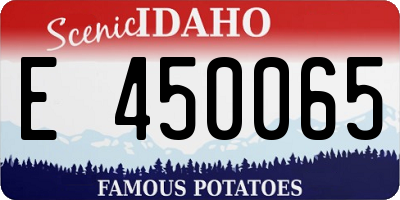 ID license plate E450065