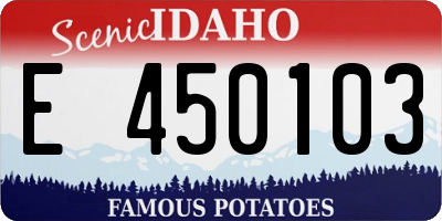 ID license plate E450103