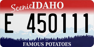 ID license plate E450111