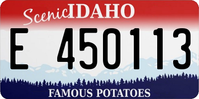 ID license plate E450113