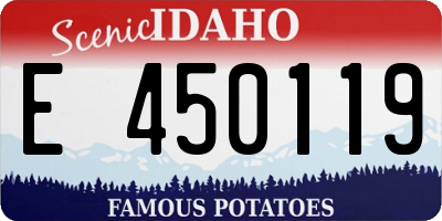 ID license plate E450119