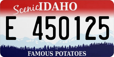 ID license plate E450125