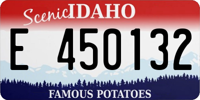 ID license plate E450132