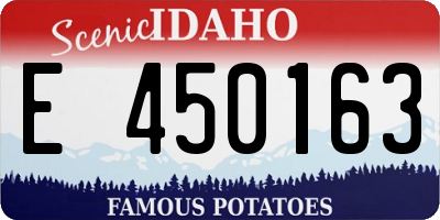 ID license plate E450163