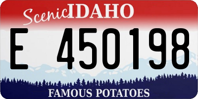 ID license plate E450198