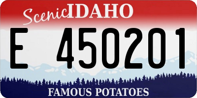 ID license plate E450201