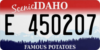 ID license plate E450207