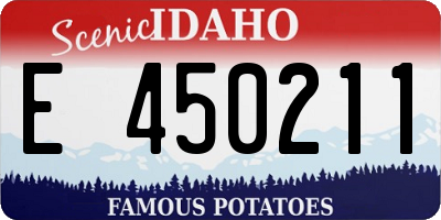 ID license plate E450211
