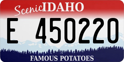 ID license plate E450220