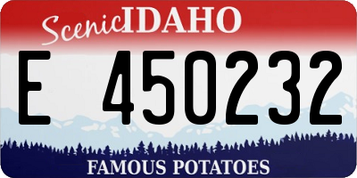 ID license plate E450232
