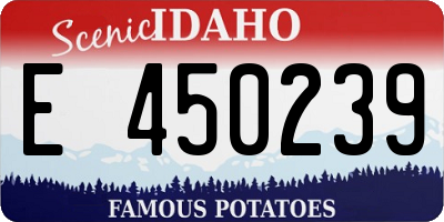 ID license plate E450239