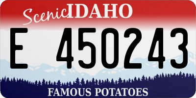 ID license plate E450243