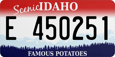 ID license plate E450251