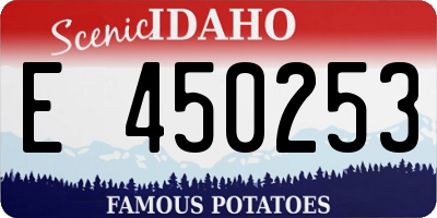 ID license plate E450253