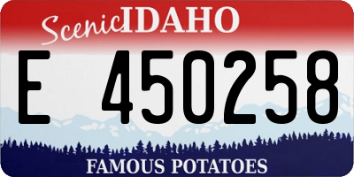 ID license plate E450258