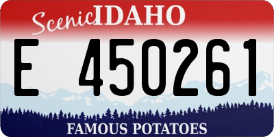 ID license plate E450261