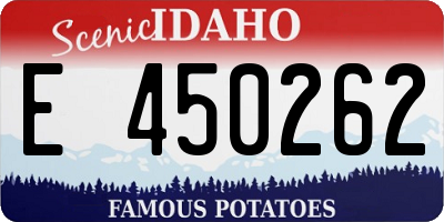ID license plate E450262