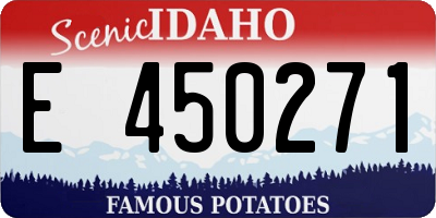 ID license plate E450271