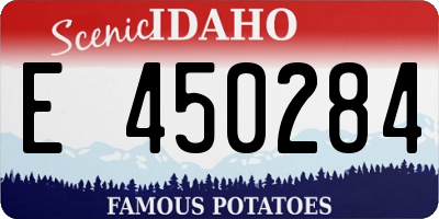 ID license plate E450284