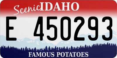 ID license plate E450293