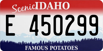 ID license plate E450299