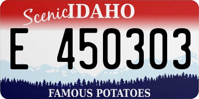 ID license plate E450303