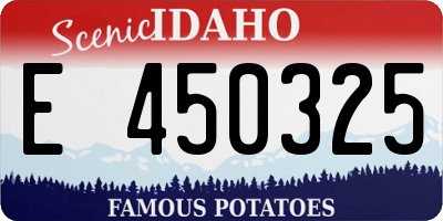 ID license plate E450325