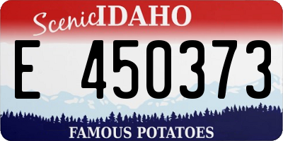 ID license plate E450373