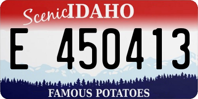 ID license plate E450413