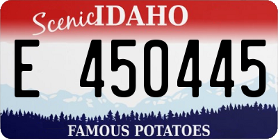 ID license plate E450445