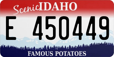 ID license plate E450449