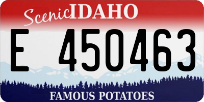 ID license plate E450463