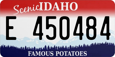 ID license plate E450484