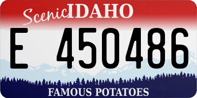 ID license plate E450486