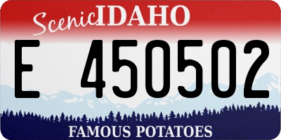 ID license plate E450502