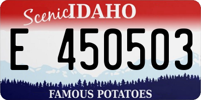 ID license plate E450503