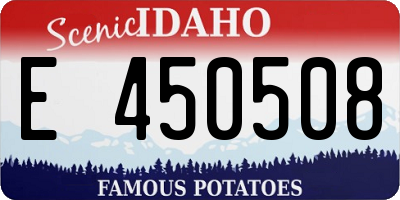 ID license plate E450508