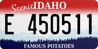 ID license plate E450511