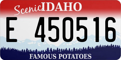 ID license plate E450516