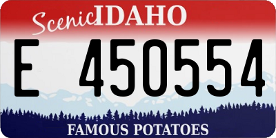 ID license plate E450554