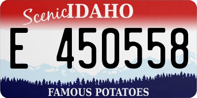 ID license plate E450558