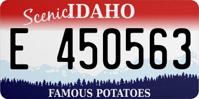 ID license plate E450563
