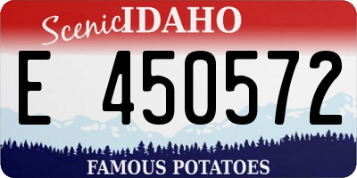 ID license plate E450572