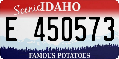 ID license plate E450573