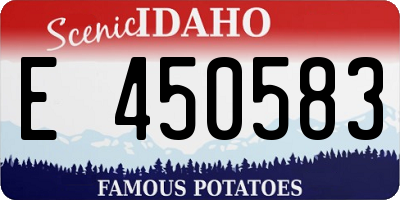 ID license plate E450583