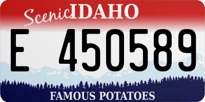 ID license plate E450589